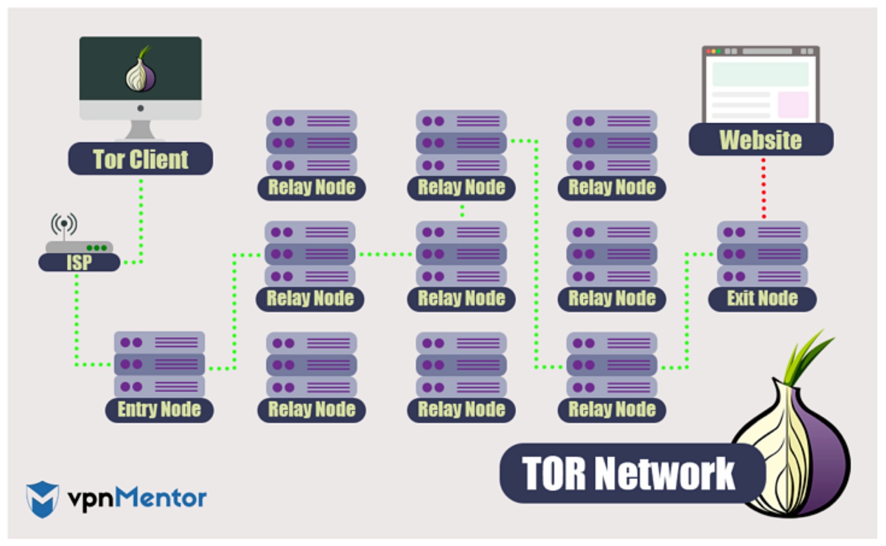 Immagine che mostra come i tuoi dati viaggiano attraverso la rete di Tor Browser