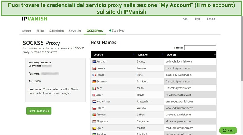 Schermata delle impostazioni del servizio proxy SOCKS5 di IPVanish nel suo Pannello di Controllo