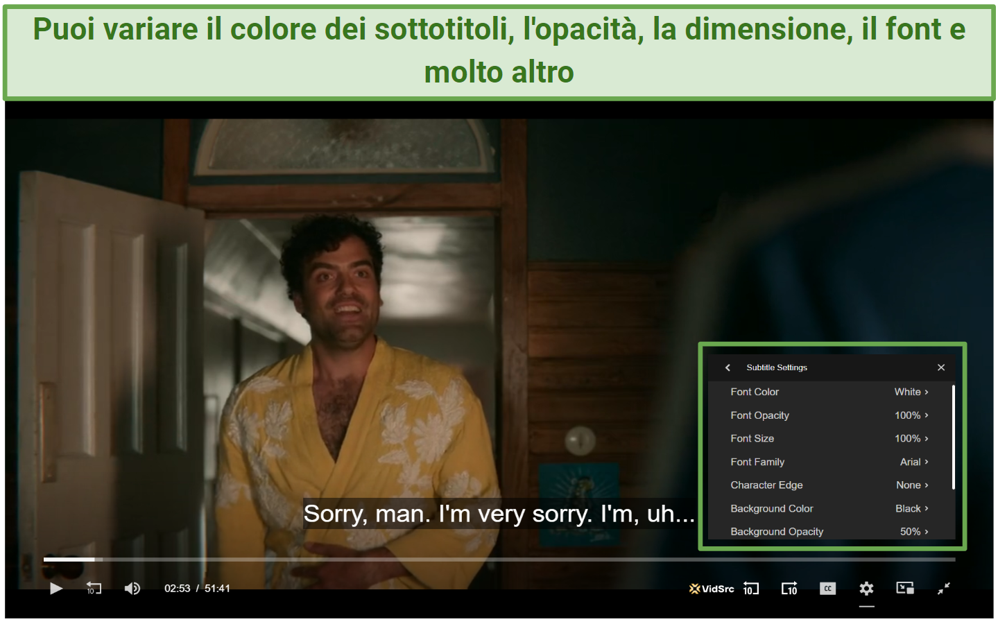 Screenshot of Submovies customizable subtitle settings.