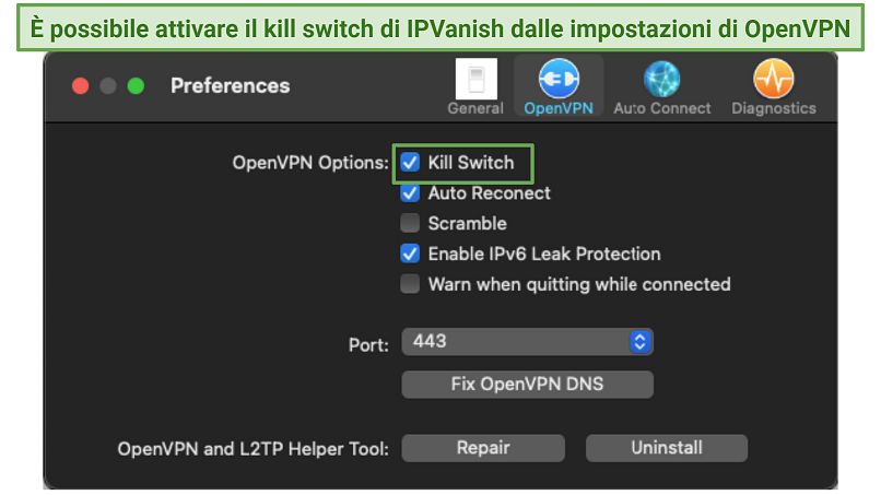 Graphic of IPVanish's OpenVPN settings