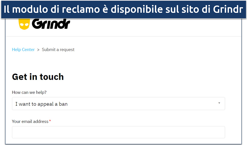 Screenshot of Grindr's website showing the appeal form