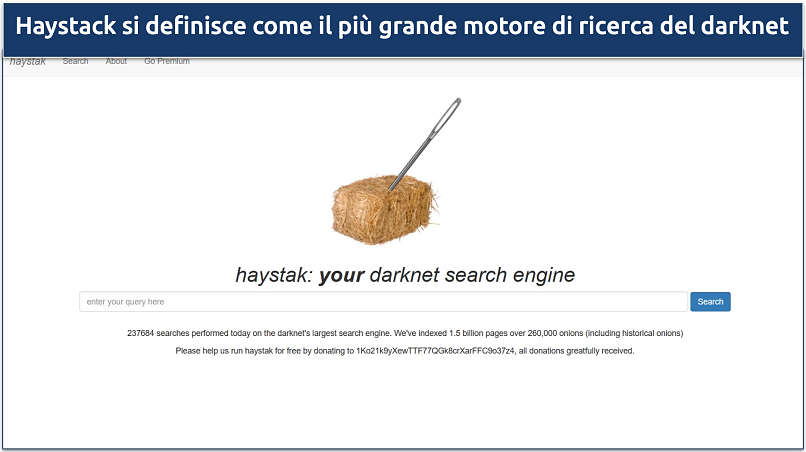 Immagine della pagina iniziale del motore di ricerca Haystack