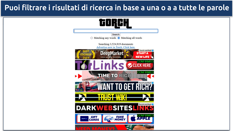 Immagine che mostra la pagina iniziale di Torch