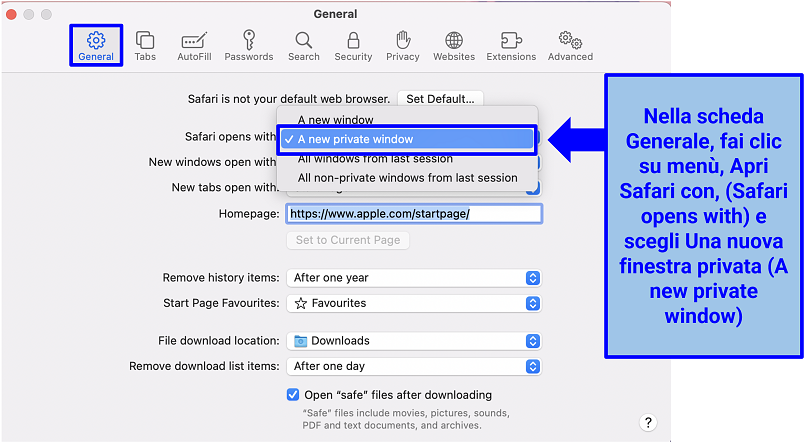Uno screenshot del menu Generale di Safari