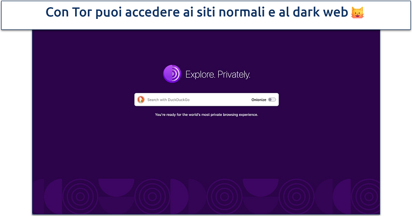 Screenshot della home page del browser Tor