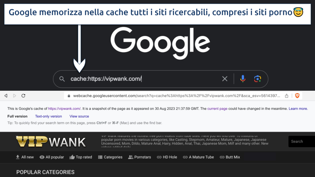 Screenshot showing Google Cache